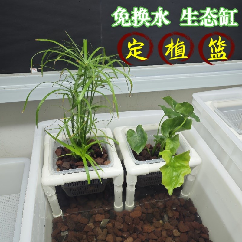 鱼缸水培篮水竹定植篮绿植盆栽托架生态龟缸造景装饰周转箱乌龟缸图片