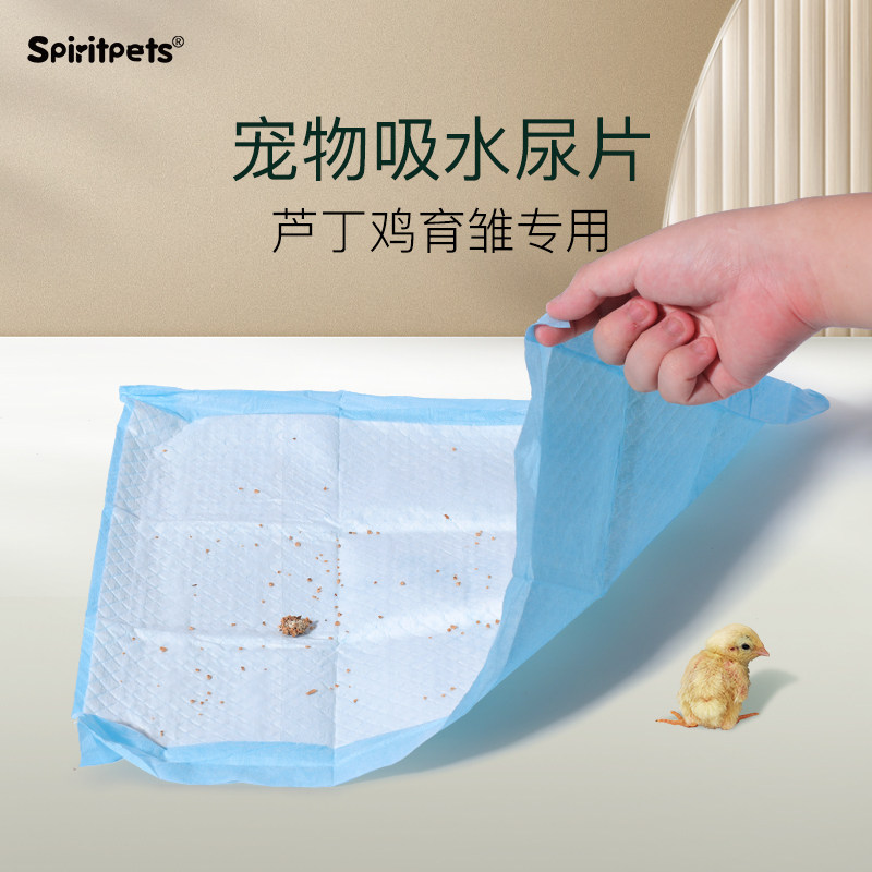 芦丁鸡尿垫鹌鹑小鸡育雏除臭垫料宠物加厚尿不湿尿片隔尿布垫纸,宠物/宠物食品及用品,鸟禽其他,淘宝优惠券,粉丝福利购,淘宝优惠卷