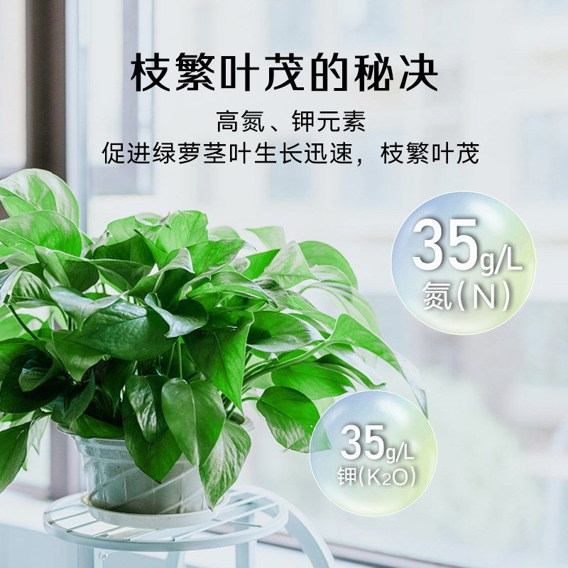 高力高绿萝专用型营养液土培水培绿萝通用浓缩植物营养液绿萝肥料,鲜花速递/花卉仿真/绿植园艺,家庭园艺肥料,淘宝优惠券,粉丝福利购,淘宝优惠卷