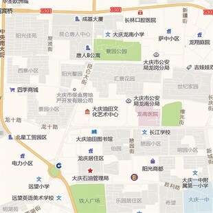 2026新款大庆市城区地图办公室挂图高清防水墙壁装饰实物推荐定制