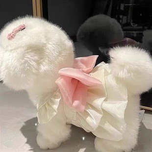 宠物春夏款流光纱裙 猫咪宠物春夏透气外出牵引薄款防晒裙