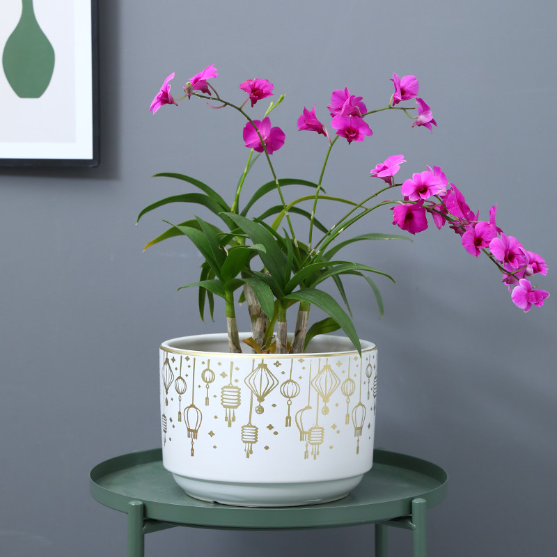 陶瓷花盆特大号简约欧式家用中国风百搭圆柱阳台种兰花绿萝盆包邮,鲜花速递/花卉仿真/绿植园艺,花盆,淘宝优惠券,粉丝福利购,淘宝优惠卷