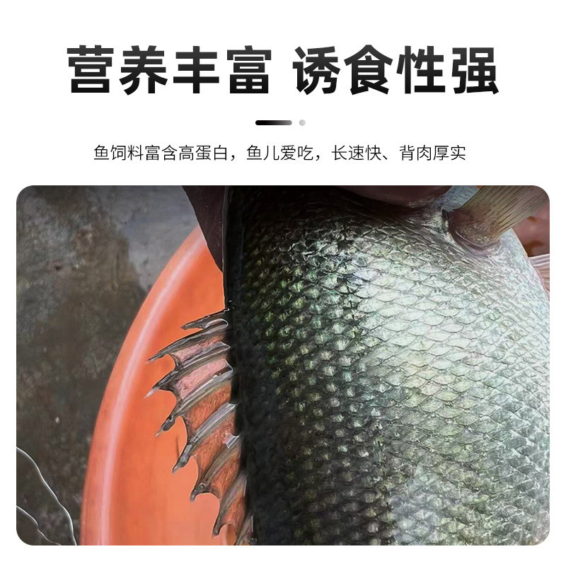 海童旺食鱼饲料鲈鱼鱼苗水花开口料池塘养殖锦鲤鱼金鱼鱼食高蛋白