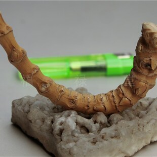 竹根手把件节密象形老竹子文玩掌中竹宝精品竹节竹雕竹编竹鞭圈56