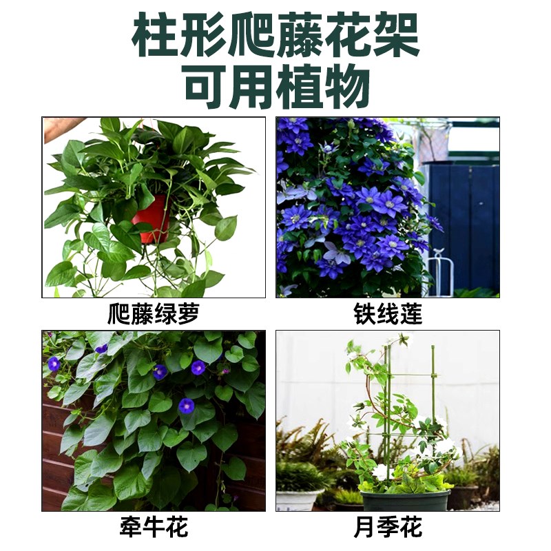 U型园艺爬藤架钢管包塑花架月季花铁线莲植物攀爬架子花盆支架杆