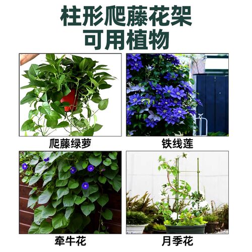 U型园艺爬藤架钢管包塑花架月季花铁线莲植物攀爬架子花盆支架杆