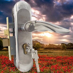 包邮镖皇T140mm孔双舌大小50锁体小70mm锁芯纯铜锁胆实木门执手门