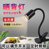 乌龟晒背灯全光谱太阳灯uvb 爬宠补钙保温灯龟缸专用 uva定时可调