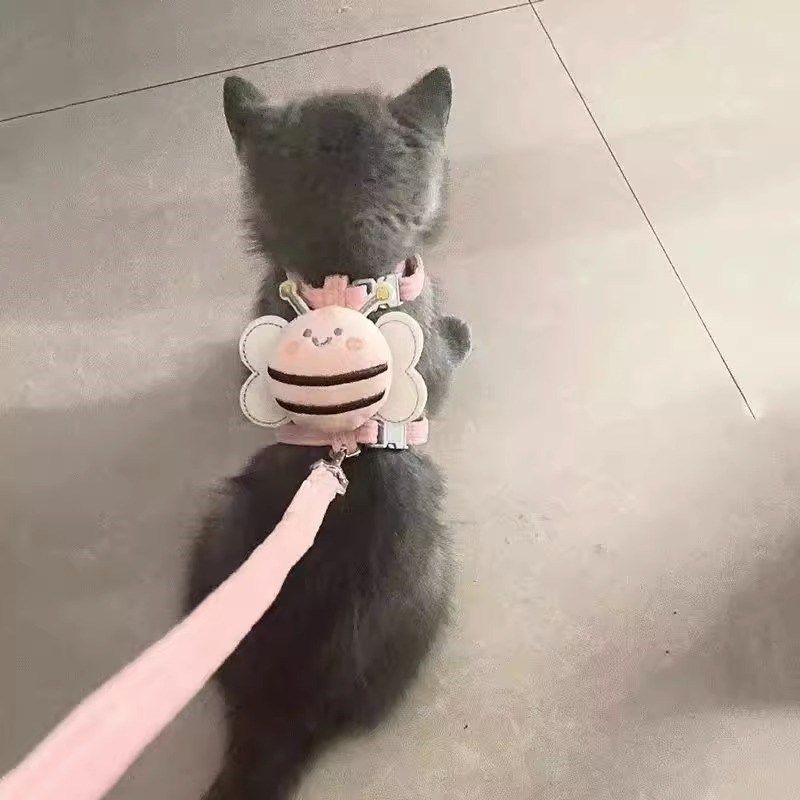 猫牵引绳防挣脱外出专用可爱蜜蜂防挣脱小狗遛狗小猫遛猫工字猫绳,宠物/宠物食品及用品,猫牵引绳,淘宝优惠券,粉丝福利购,淘宝优惠卷