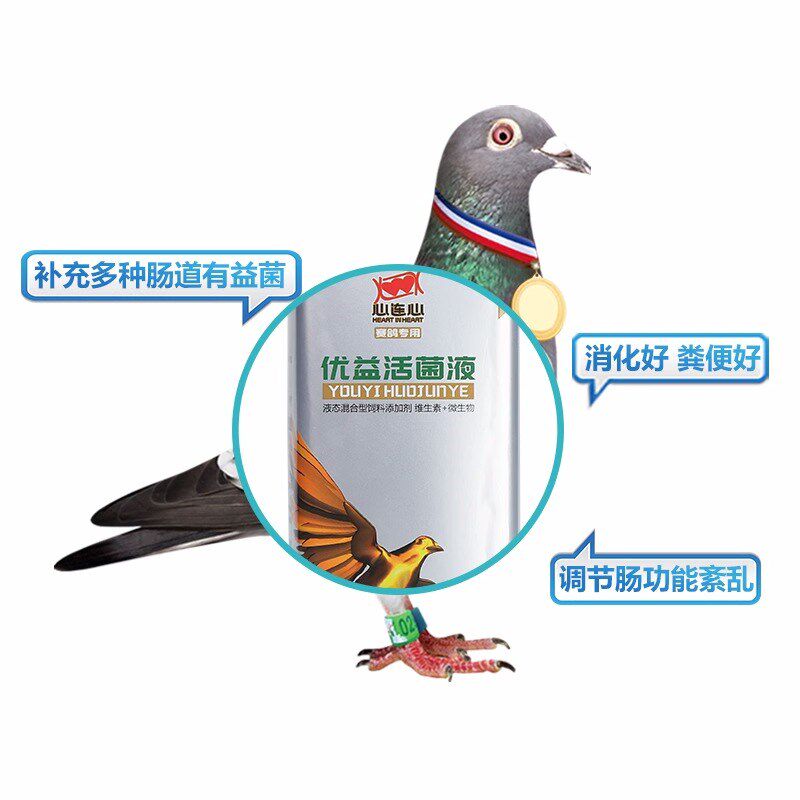 心连心鸽子保健活菌鸽用鹦鹉鸟专用活菌益生菌调理肠道优益活菌液