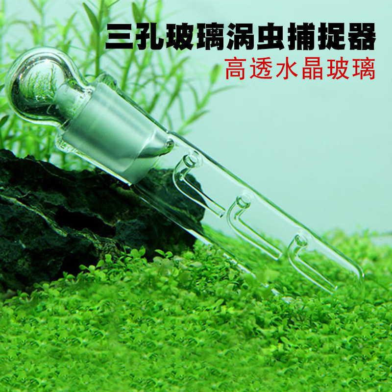涡虫诱捕器涡虫捕捉器涡虫笔吸捕蜗器玻璃diy捕虾器水蛭包邮