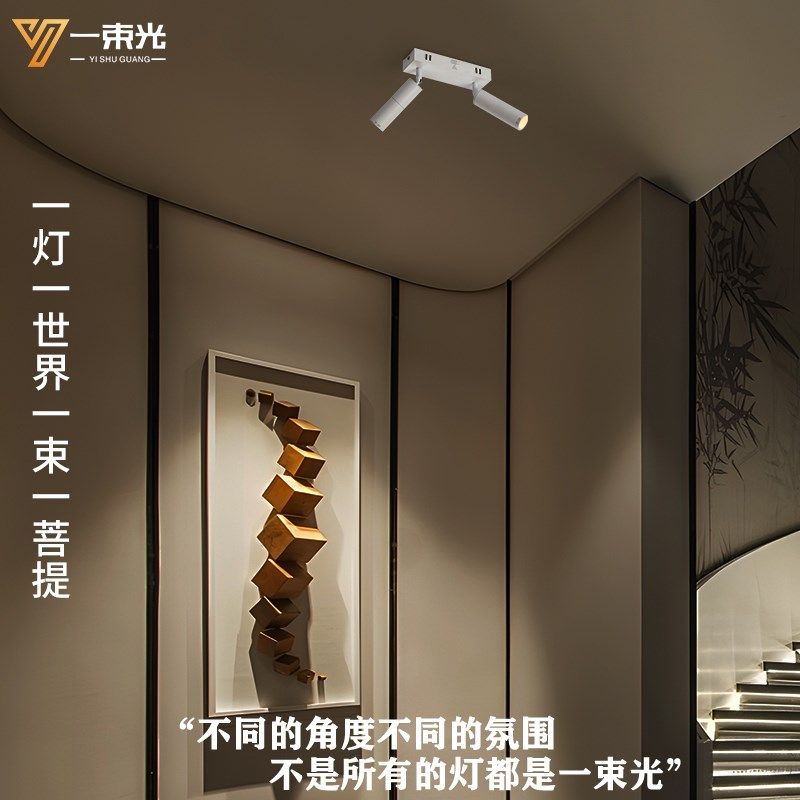 一束光聚光射灯3度小角度三头明装客厅茶室博物馆氛围餐饮led多头,家装灯饰光源,明装射灯,淘宝优惠券,粉丝福利购,淘宝优惠卷