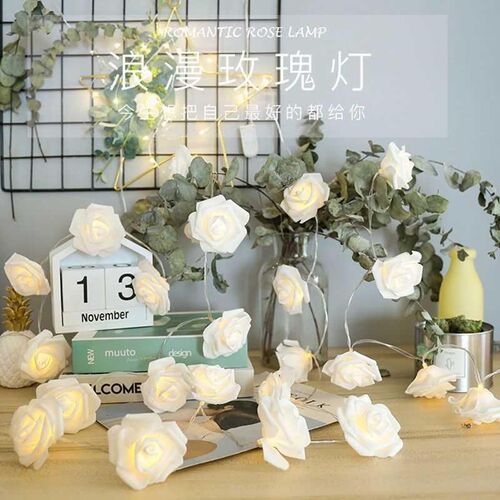 led玫瑰花藤条挂灯浪漫求婚场景布置少女宿舍卧室房间装饰小彩灯