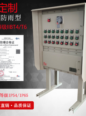 ExdIIBT4防爆照明动力配电柜非标定制碳钢变频器控制箱水泵启机柜