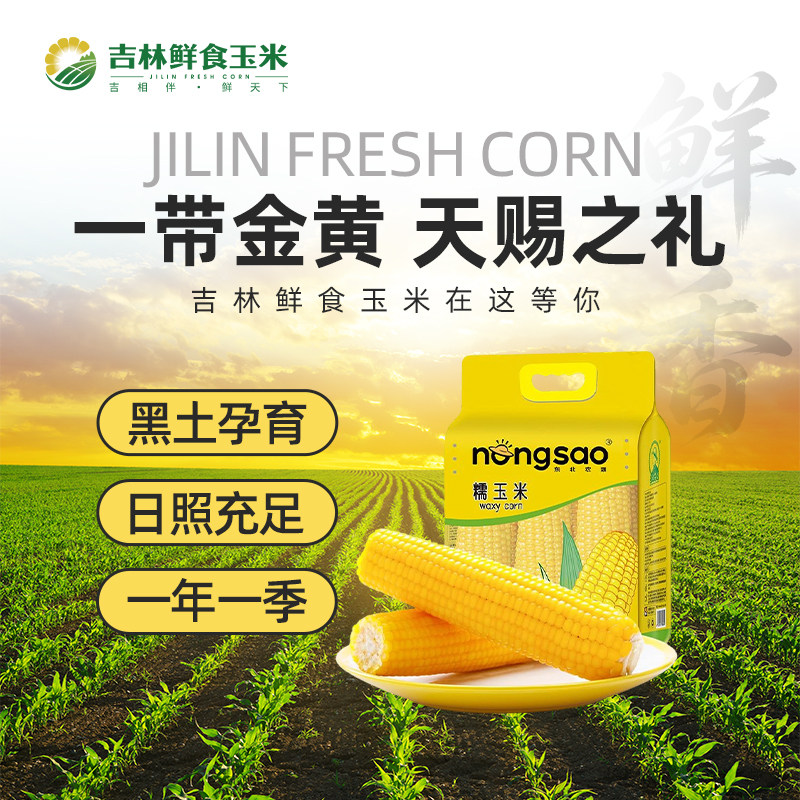 东北农嫂非转基因黄糯玉米2kg