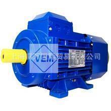 VEM电机18783003 IE3-W41R 132M 4TPM-HW