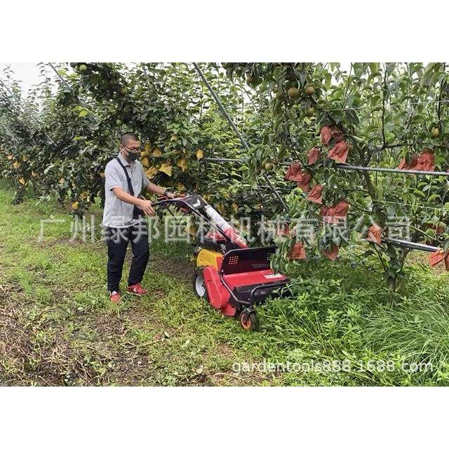 筑水割草机果园开荒灌木修剪机MH60手扶式 CG101手扶履带式割草机,农机/农具/农膜,割灌机/割草机/油锯,淘宝优惠券,粉丝福利购,淘宝优惠卷