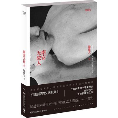 【正版图书】南安故9787540476519陆俊文著湖南文艺出版社