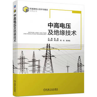 【正版书籍】中高电压及绝缘技术高嵬副主熊义勇周屹吴沛航主9787111718291机械工业出版社