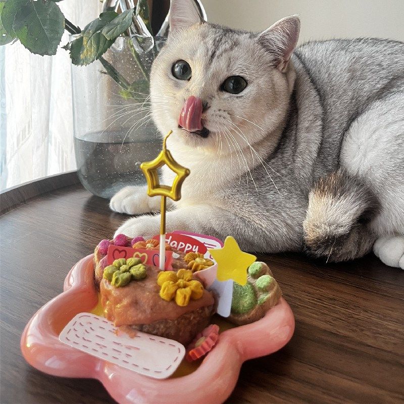 陶瓷猫碗吃饭碟子主粮罐头碗防打翻猫咪喝水碗狗碗生日盆宠物用品,宠物/宠物食品及用品,猫狗碗/慢食碗,淘宝优惠券,粉丝福利购,淘宝优惠卷