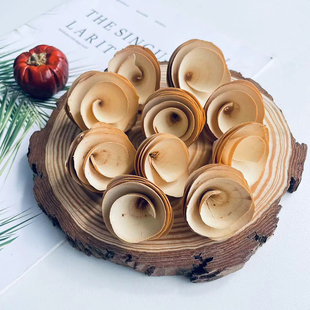 diy手工装饰木花玫瑰花朵植物幼儿园环创干花材料室内挂饰木卷花