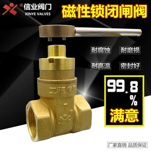 磁性锁闭闸阀全黄铜自来水开关水表前阀门暖气热力集中供暖带锁阀