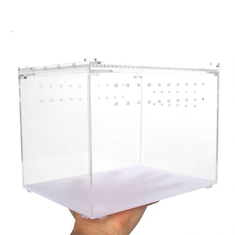 亚克力饲养盒爬虫小宠物透明亚克力盒蜘蛛守宫昆虫甲虫蛇造景透光,宠物/宠物食品及用品,爬宠缸/箱,淘宝优惠券,粉丝福利购,淘宝优惠卷