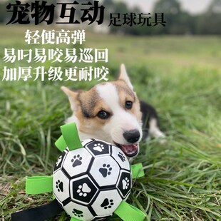 狗狗玩具球边牧柯基柴犬互动耐咬训狗专用球解闷自嗨足球宠物用品