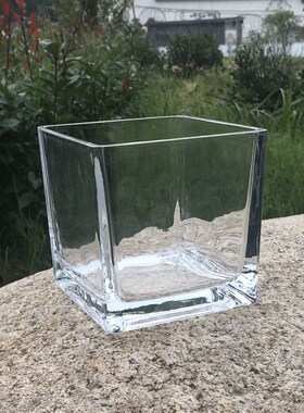 黑色白色正方形水培玻璃容器透明方缸水培铜钱草绿萝花盆小号包邮