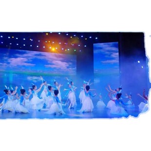 振鹭于飞舞蹈服装六一芭蕾舞表演服舞剧女子群舞新款纱裙演出服装