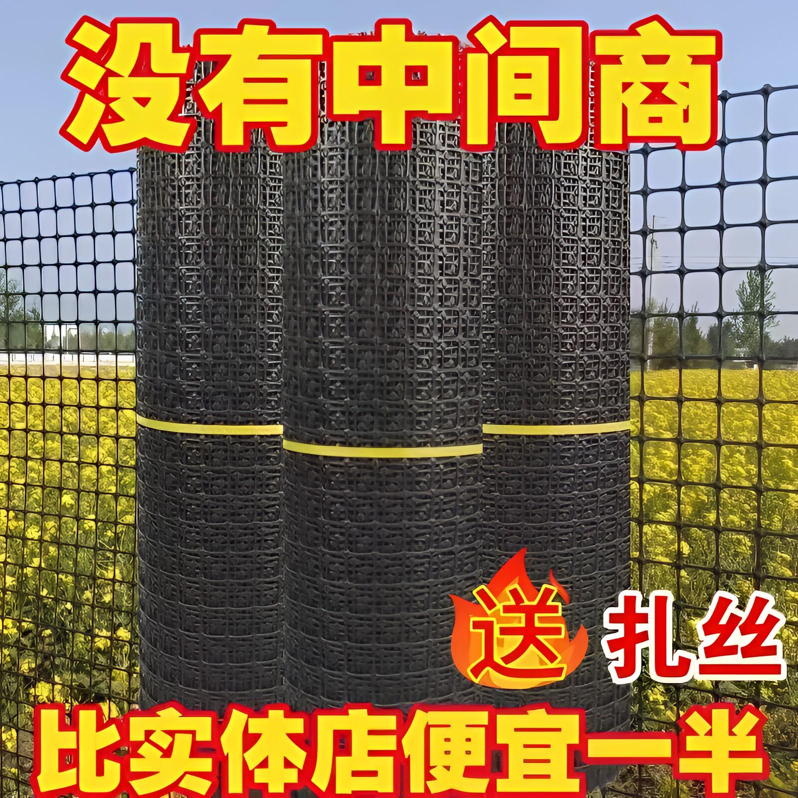 塑料网格养殖围栏网鱼塘防护圈玉米拦鸡网家用隔离栅栏菜园护栏网