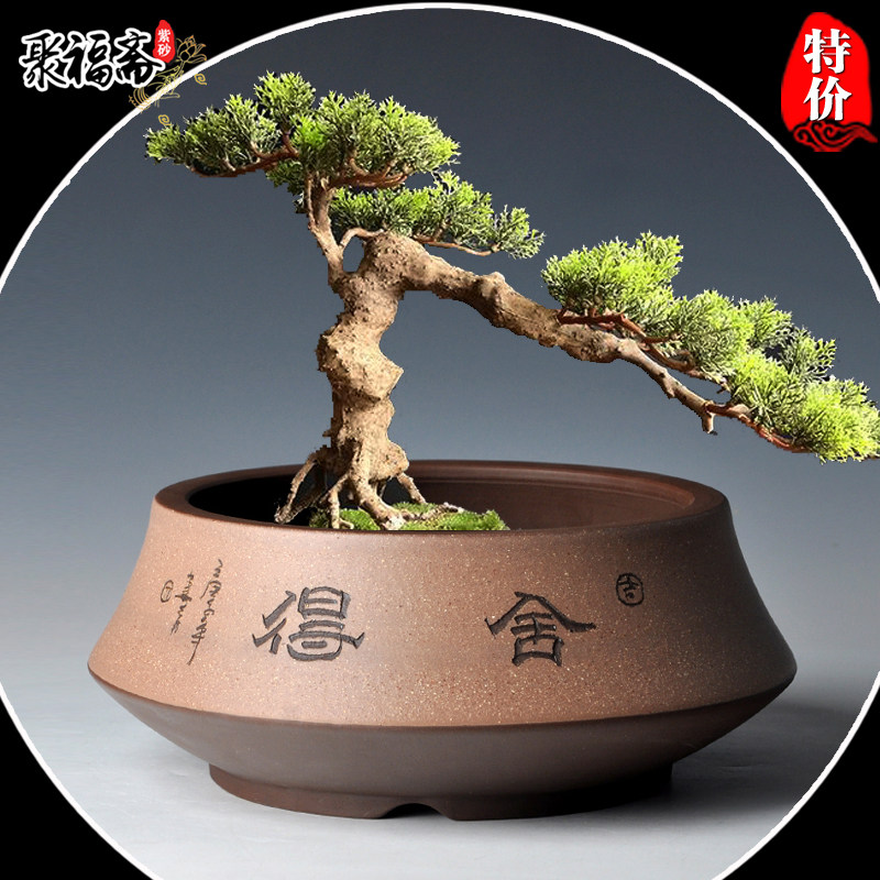 宜兴紫砂盆景盆长方形马槽假山造景盆绿植文竹菖蒲盆栽花盆清仓