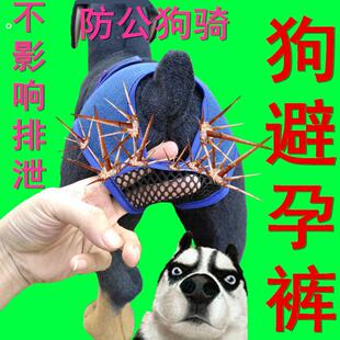 母狗生理裤子狗狗避孕月事裤衣服装宠物防骚扰狗绝育例假狗防交配