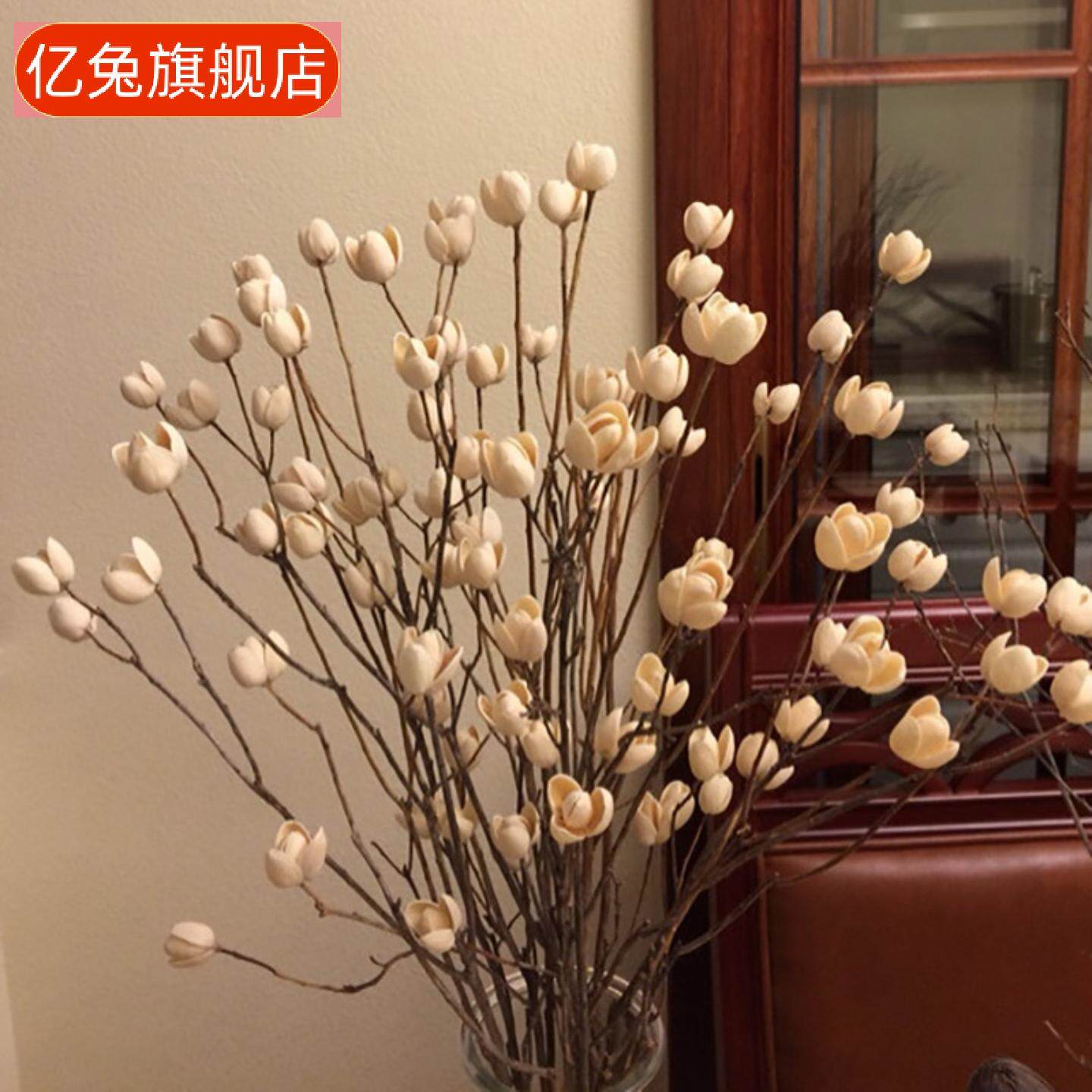 原色开心果壳漂白手工材料坚果壳