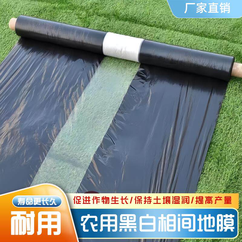 农用两黑一白黑白相间双色白加黑地膜烤烟膜地瓜红薯地膜耐老化膜
