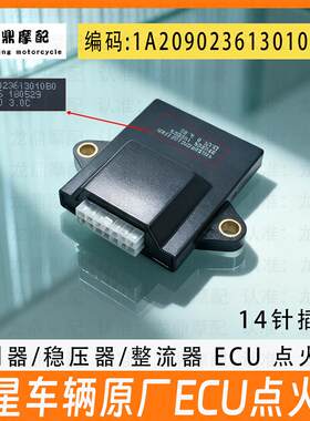 适用福田五星三轮车电喷ECU点火器控制器 摩托车稳压器 原厂配件