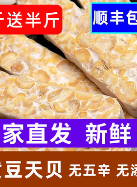 天贝素食毛毛黄豆腐纳瓣印丹尼Tempe/tempeh发酵菌制品大蛋白素肉