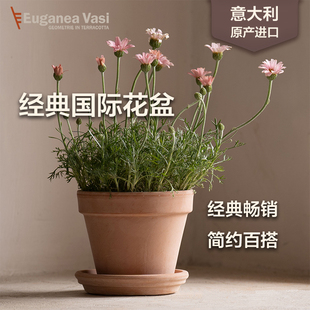 EV陶盆进口经典国际盆意大利天然陶土透水透气花盆家用大口径花盆