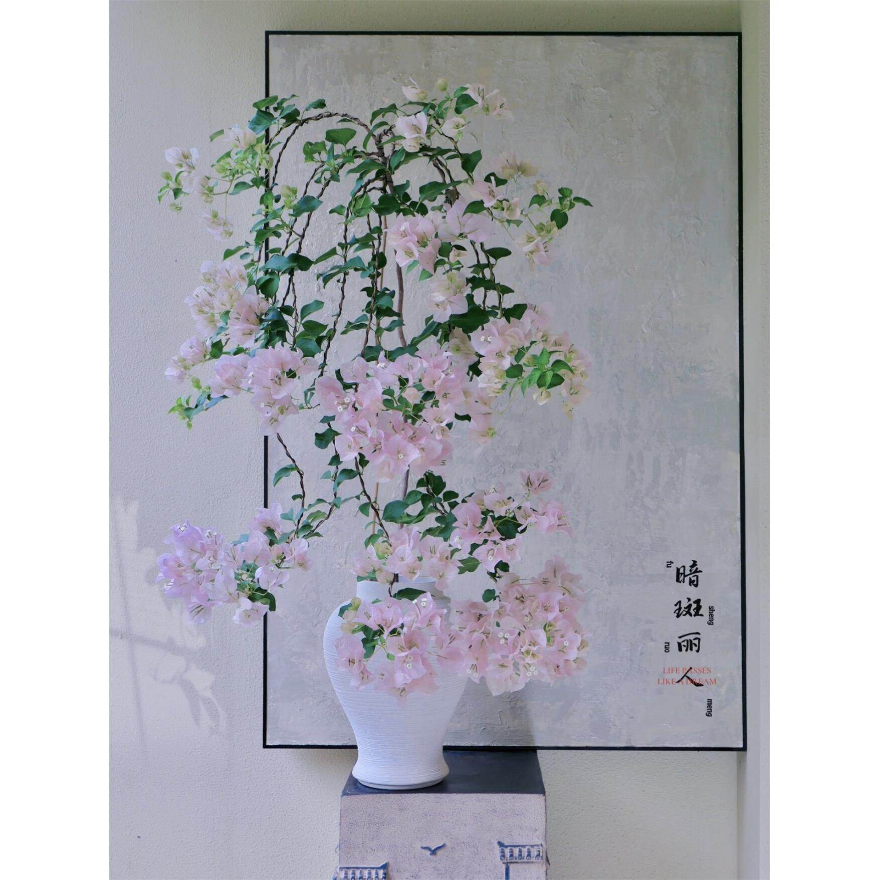 三角梅暗斑丽人 粉色花 开花机器 经典必入 花朵大不容易掉花