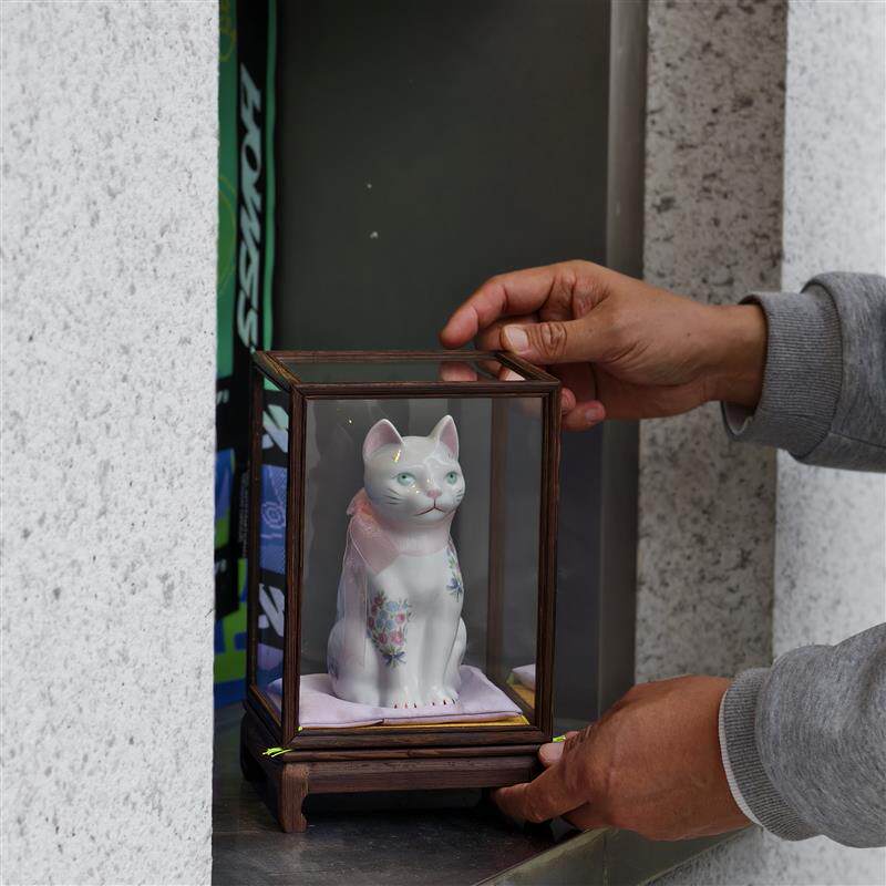 原创招财猫陶瓷摆件带玻璃盒店铺前台桌面招财摆件开业乔迁礼品