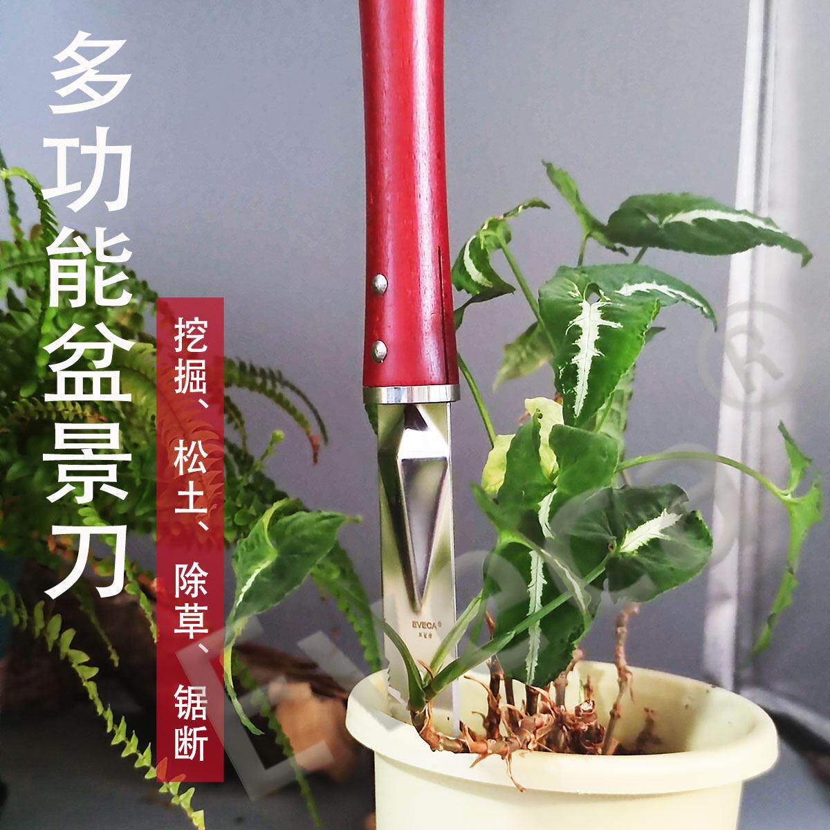 多功能不锈钢盆景铲子盆栽刀换盆工具移植移栽养花园艺工具长尖铲