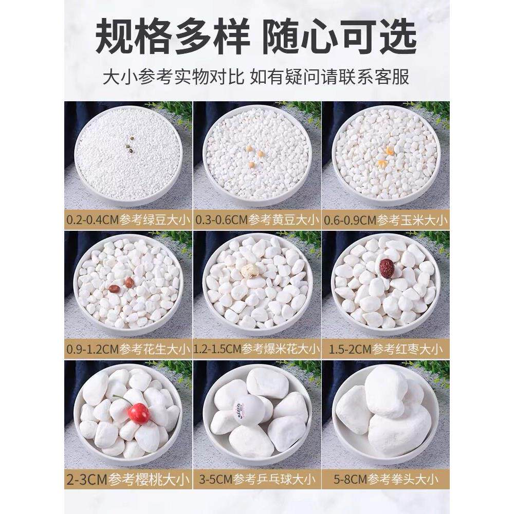 天然白色鹅卵石小白石庭院景观铺装干景观美化装饰鱼缸多肉铺装