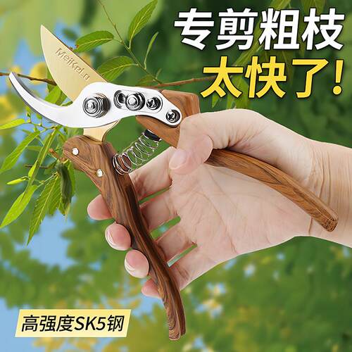 省力修枝剪园艺剪刀剪树枝专用园林修剪果树修枝花艺修剪枝剪粗枝
