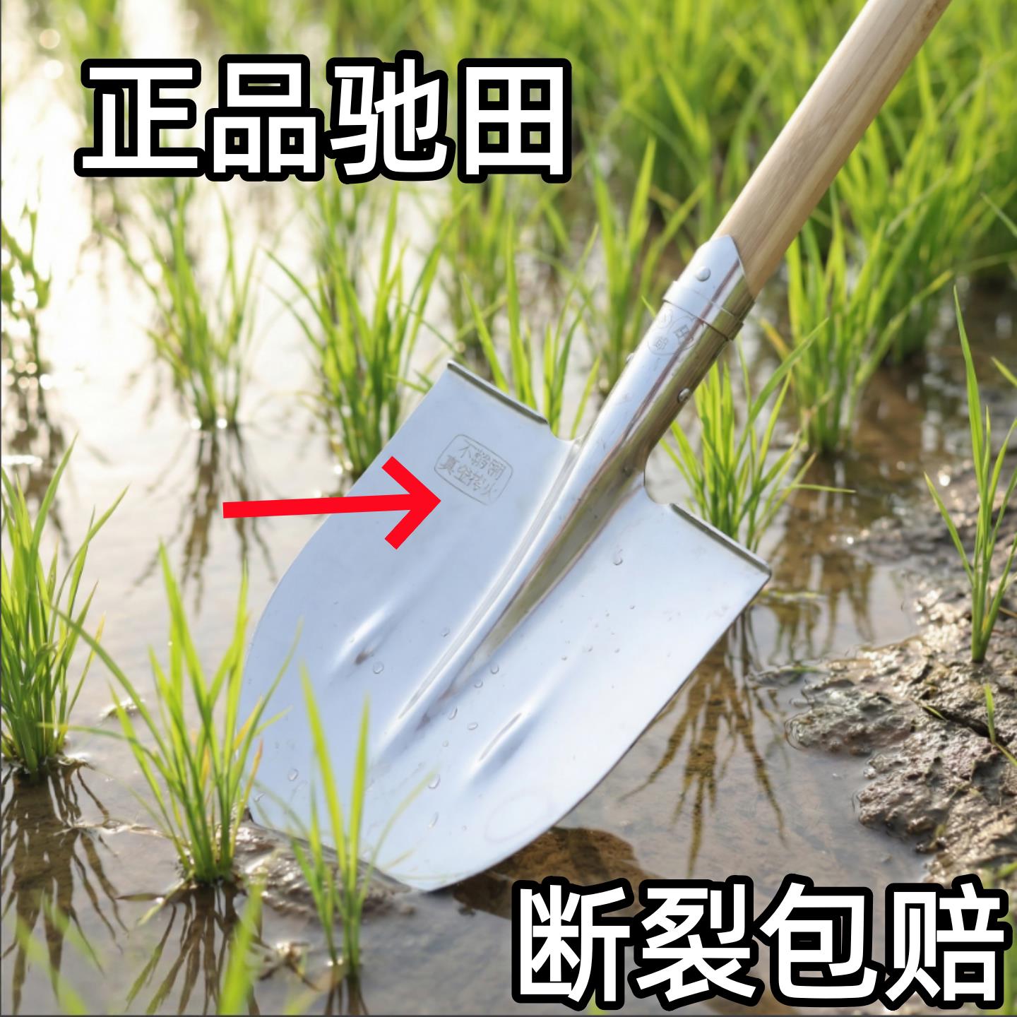 白钢水田锹圆头不锈钢铁锹不生锈不沾泥农用铁杴轻薄锋利园艺铲子