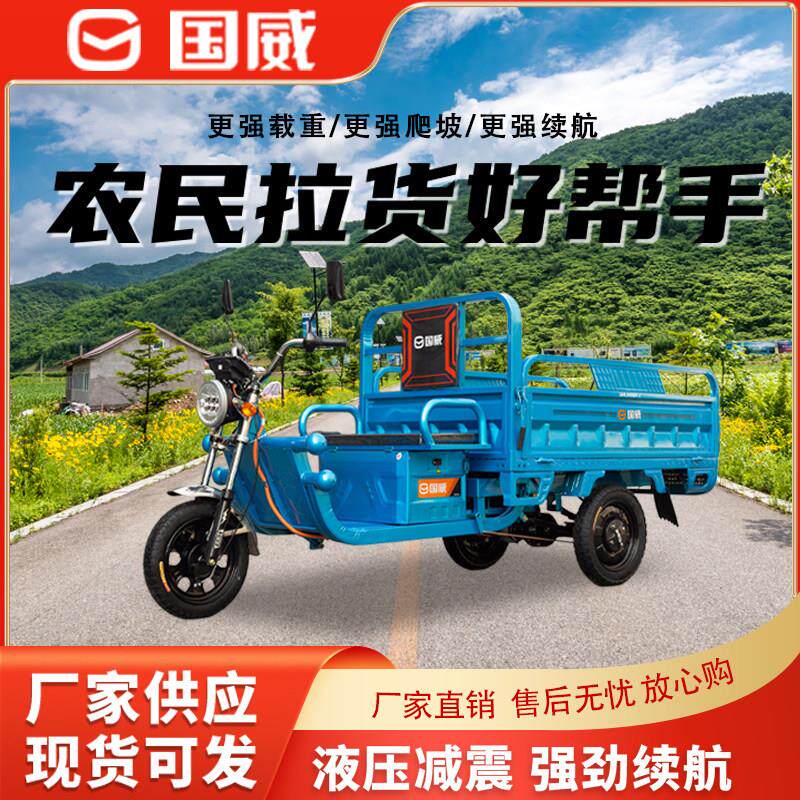 国威电动三轮车拉货家用接送孩子带棚载重王大功率电瓶车厂家直销
