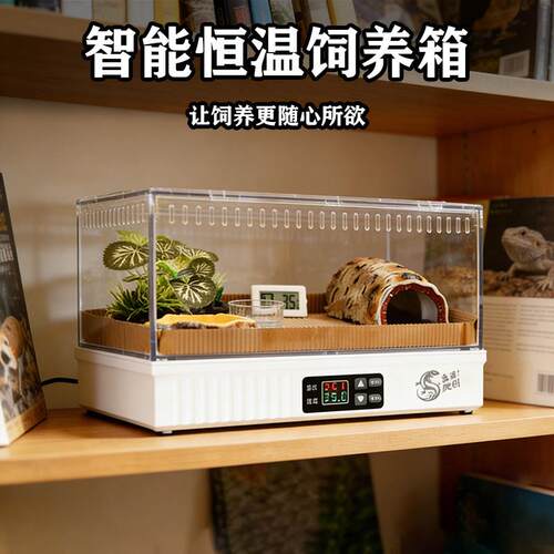 智能一体爬宠恒温饲养箱爬虫带温控设备数显调节宠物保温箱免安装
