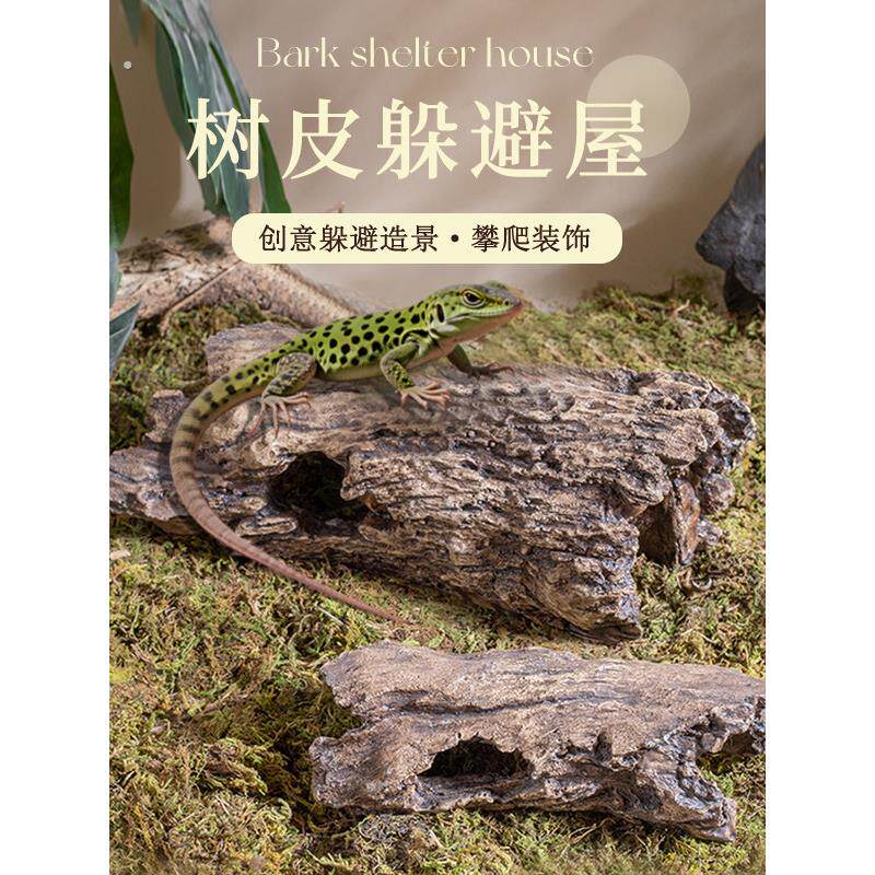 爬行动物宠物逃脱乌龟洞太阳露台蜥蜴壁虎庇护所房子蝎子蜘蛛爬行