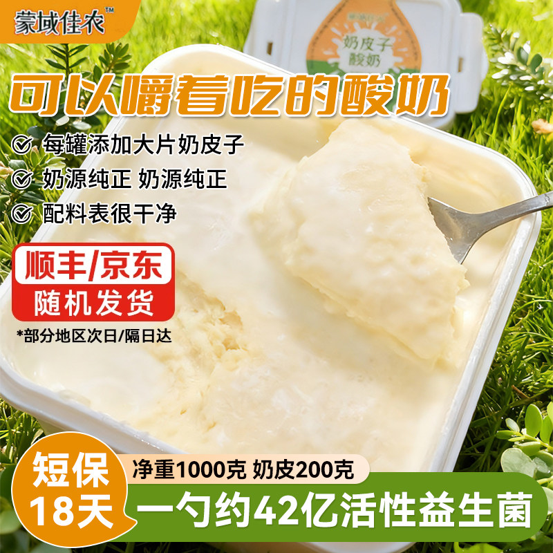 蒙域佳农奶皮子酸奶发酵奶皮传统醇厚老酸奶小吃零食营养解馋零嘴