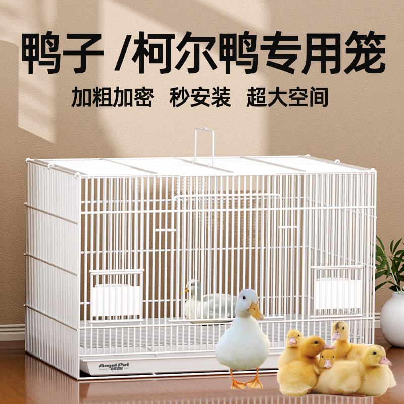 鸭子专用笼柯尔鸭笼用品屋育雏房家用室内外大号豪华别墅养小鸭笼