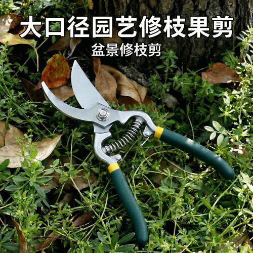 进口园艺剪刀剪树枝专用SK5修枝剪粗枝省力强力树枝剪刀花艺剪刀